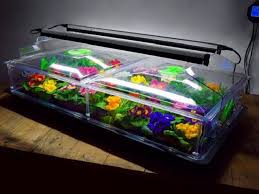 Large Vitopod Heated Propagator with Grow Lights & Support ...