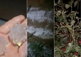 Granizo atinge cafezais e assusta moradores em vários municípios do Espírito Santo