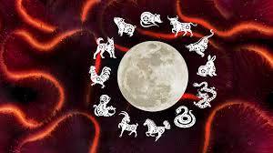 Chinese New Year Animals