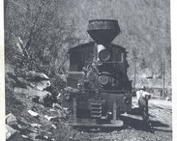 Pocahontas Lumber Company train loaded with logs, Burner, West Virginia ca 1909