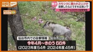 Yahoo!ニュース - News update