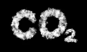 Cheap Catalyst Made Out of Sugar Has the Power To Destroy CO2