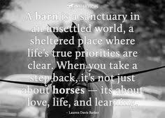Equine Quotes on Pinterest | Horse Quotes, Horses and Equestrian via Relatably.com