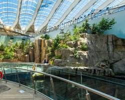 Immagine di Biodome de Montréal