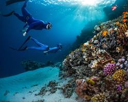 Image of Snorkeling in Red Sea, Egypt