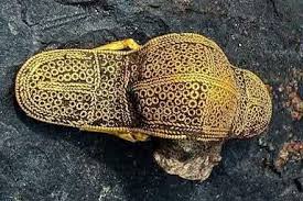 Rare 6th century gold brooch discovered in Denmark