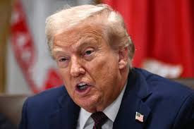 Trump's Proposed Tariff Dividends: Impact and Economic Debate