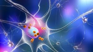 environmental chemicals The Role of Environmental Chemicals in Parkinson