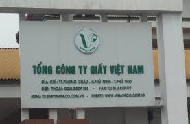 Quyết định thanh tra Tổng công ty Giấy Việt Nam