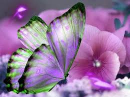 Resultado de imagen de flores bonitas de primavera