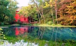 Image result for "Alley Spring"