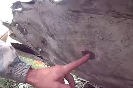 Image result for mh17 wings