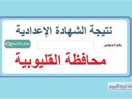 المصري اليوم - News update