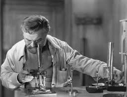 images?q=tbn:ANd9GcRD3WKQie0BPMTODJfmpKa