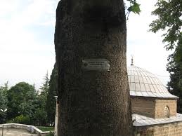 Image result for Military@PH UTILITY BELT