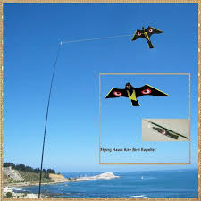 Resultado de imagem para bird scarer from china