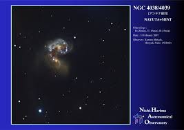 Image result for galaxy ngc 4038