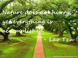Great Laws Of Attracting Quotes - Laws of Attracting Abundance via Relatably.com