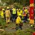 Man killed by fallen tree in Sydney storm