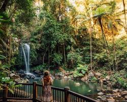 Tamborine Mountain的圖片