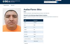 Marina detiene a Audias Flores, 'El Jardinero', uno de los sucesores de 'El Mencho" en el CJNG