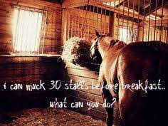 Horse quotes on Pinterest | Cowboy Prayer, Horses and Cowgirl via Relatably.com