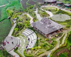 Gambar Kampung Bunga Pujon