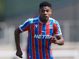 NETVASCO - News update