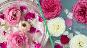 Luna Rosa: Este es el ritual del baño de rosas para llamar al amor