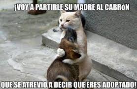 Resultado de imagen para memes chistosos