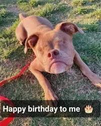 Happy birthday to me