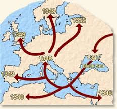 Image result for positive effects of the black death on europe