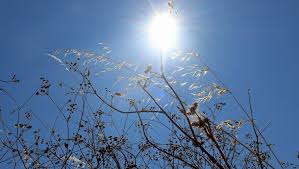 DECRYPTAGE. Météo : le mois d'août sera-t-il aussi chaud et caniculaire que le mois de juillet ? C'est plutôt oui selon les tendances révélées par un météorologue