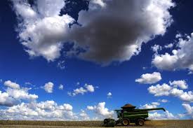 Vaivém: Produtividade mundial não tem grande variação em anos de El Niño