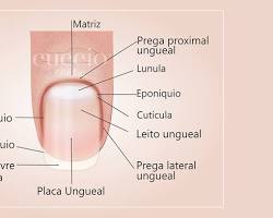 Imagem de Unha humana