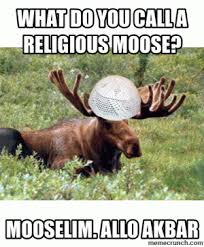 Moose Puns | Kappit via Relatably.com