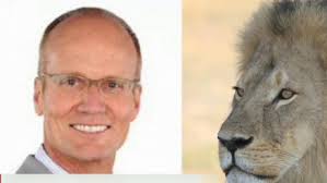 Image result for cecil lion