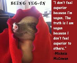 vegan quotes | Meat Meets Vegan via Relatably.com