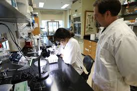 Baylor Research Innovations