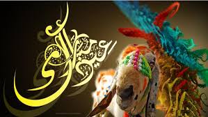 Image result for bakra eid funny images