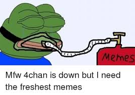 Image result for 4chan memes