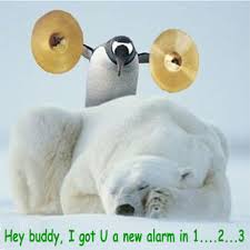 external image images?q=tbn:ANd9GcRENBjccsptGZcHs_KBdG-VlO4cCPFsqTSUntScu6ubXJDeEpDu