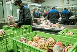 قیمت کارشناسی مرغ اعلام شد