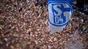 Former Coach Mirko Slomka Eyes Sporting Director Role at Schalke 04