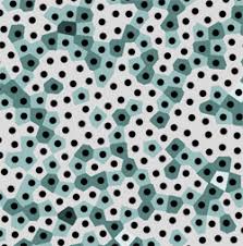 Résultat de recherche d'images pour "poisson disk"