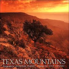 Image result for texas mountains