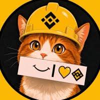 About BINANCE CAT (bnbcat.site)
