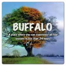 Buffalove on Pinterest | Buffalo, Fantasy Island and Niagara Falls via Relatably.com