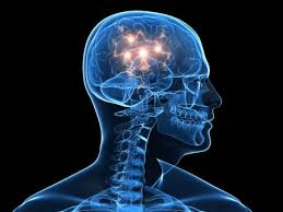 Tools to support Risk Assessment