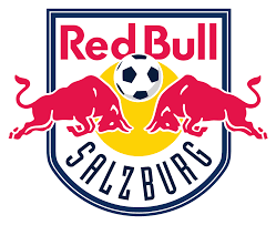 Image result for bundesliga logo 2015